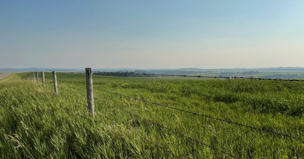 Grassland fence line