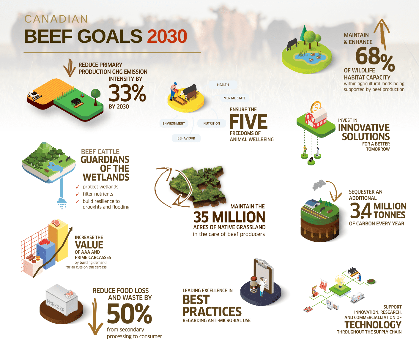 2030 Canadian Beef Goals