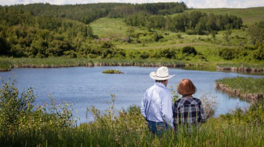 Ranchers overlooking wetland and pasture