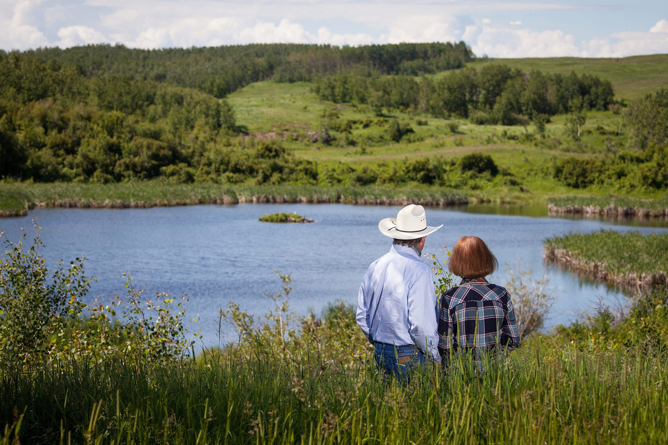Ranchers overlooking wetland and pasture