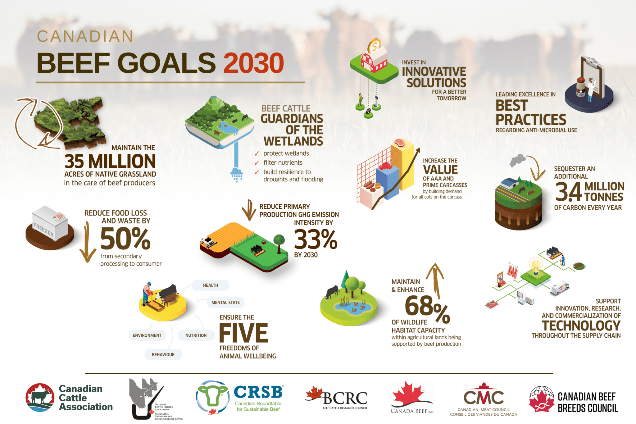 Goals & Strategy | Canadian Roundtable For Sustainable Beef