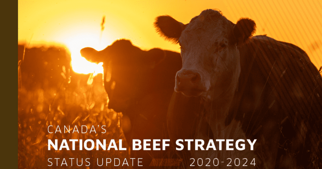 National Beef Strategy Update Canadian Beef Industry